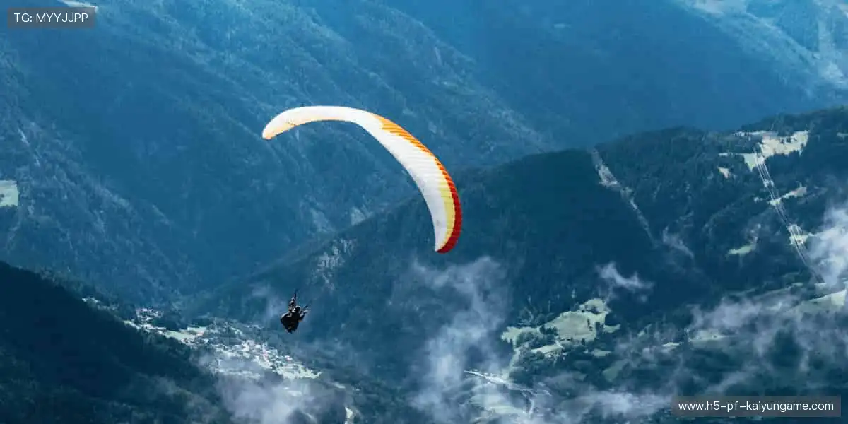 锁定热爱，每一场赛事都是心跳的理由！⚽️🏀