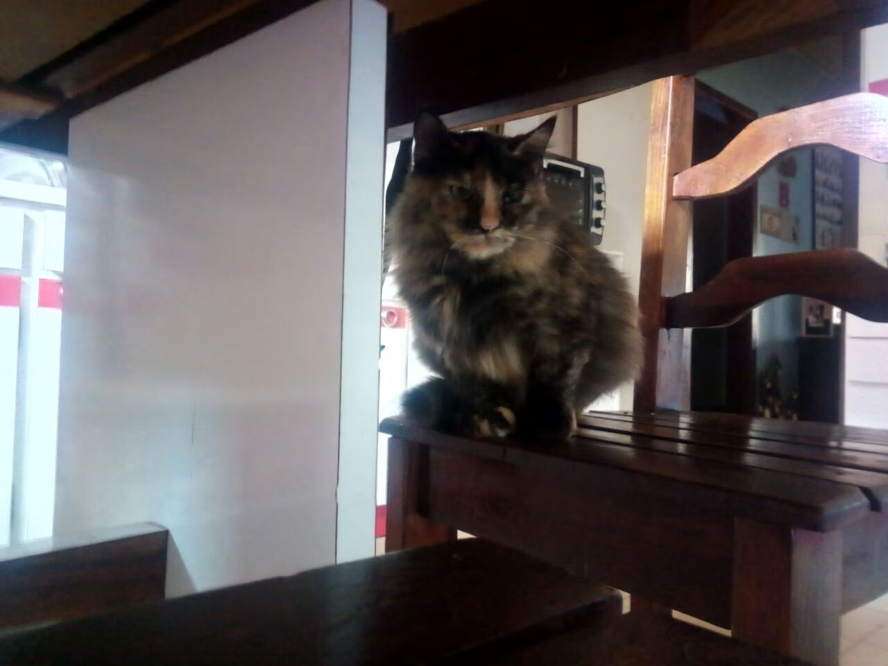 体育新闻中心推动体育内容多渠道版权交易，体育新闻侵权