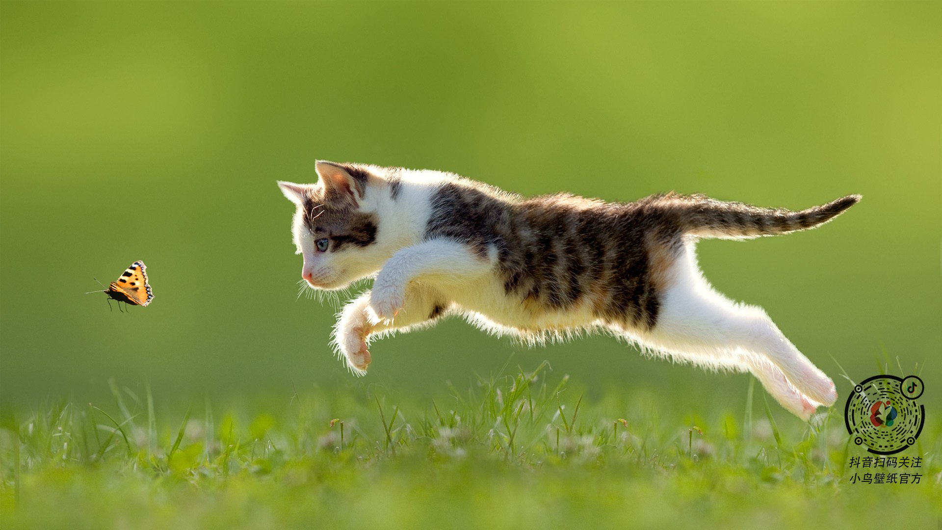 切尔西全队表现稳定，未给对手机会，切尔西队怎么样